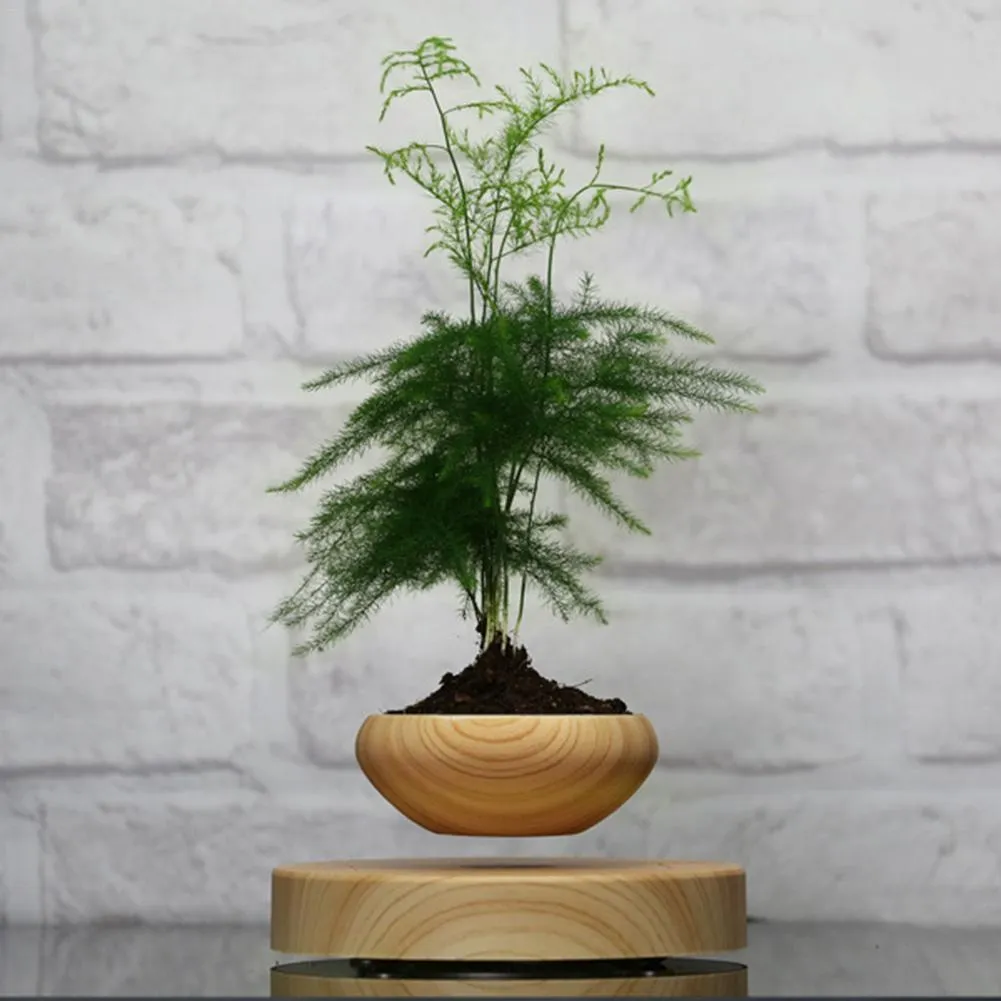Magnetische zwevende ingemaakte plantenlucht bonsai pot levitatieplanten plantenbloem bloempotten sappige plant voor thuiskantoor decor y200721797685