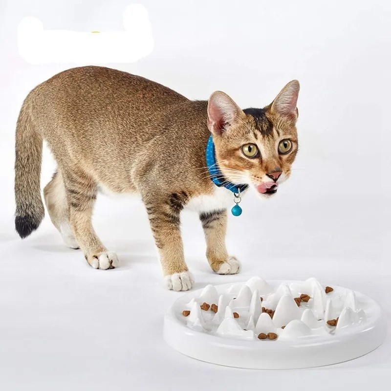 Långsam matare skål keramisk rolig interaktiv uppblåsningstopp katt som förhindrar anti gulpande hälsosam ätande diet husdjur y200917