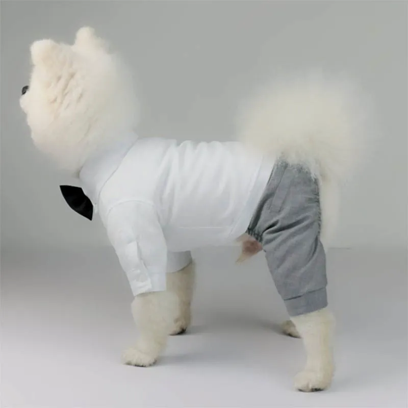 Pet Wedding Clothes Formal Dog Coat Jacket Party Costume High Quality For Small s Clothing Ropa Perro Y200917