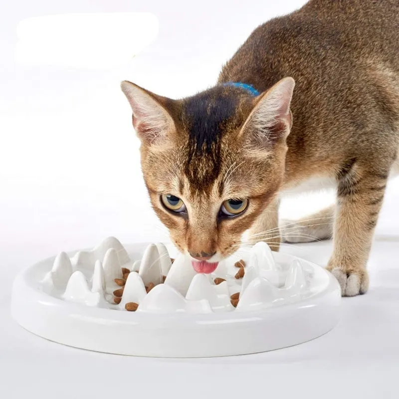 Slow Feeder Bowl Ceramic Fun Interactive Bloat Stop Cat Preventing Anti Gulping Healthy Eating Diet Pet Y200917