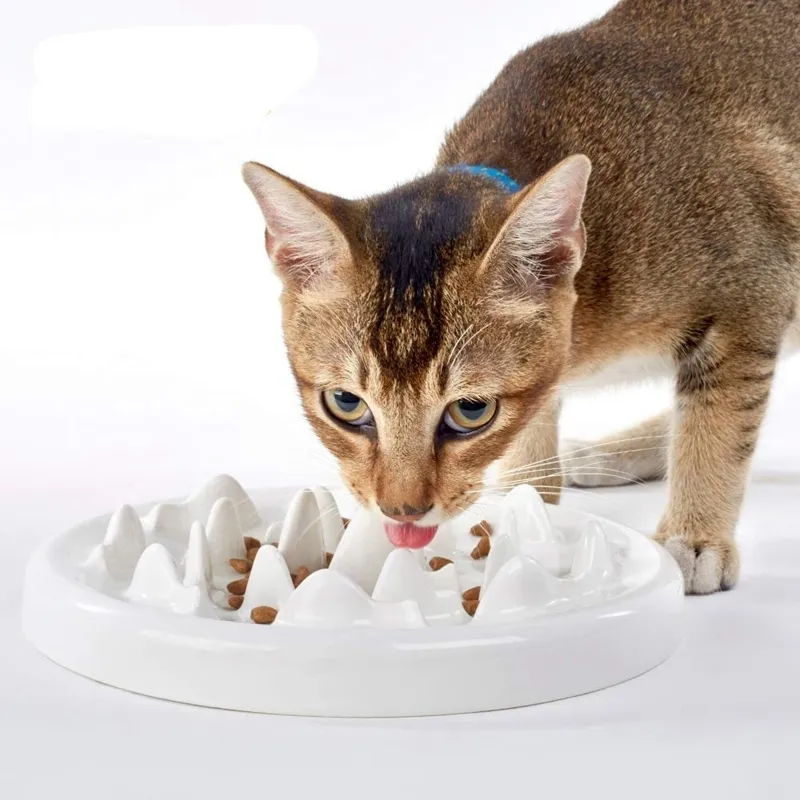Tigela de alimentação lenta Cerâmica divertida interativa parada de gato, prevenindo anti -engolindo dieta saudável e saudável PET Y200917
