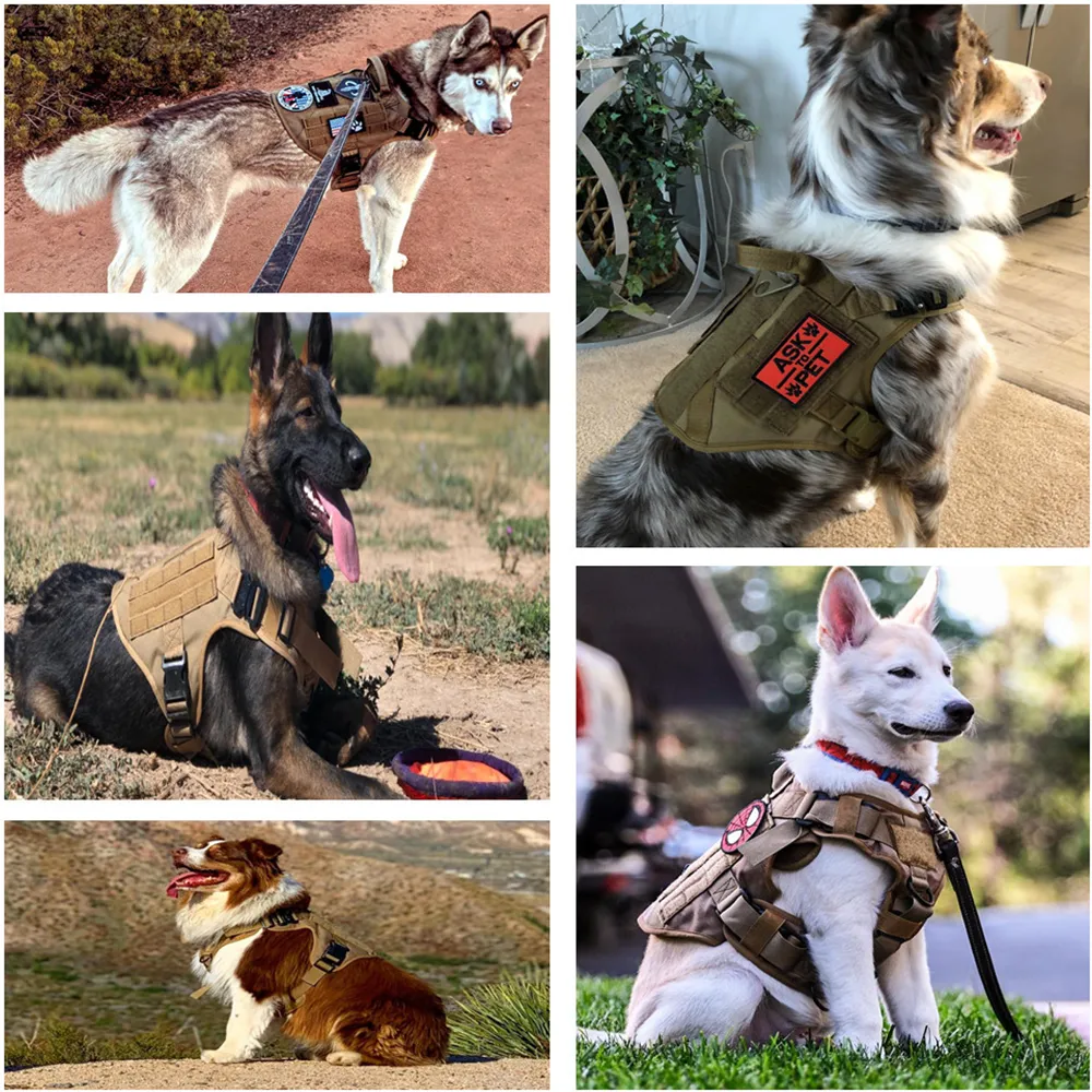 Arnês de cão tático militar Treinamento de cachorro colete de cães metal fivela alemã pastor k9 cão e colar