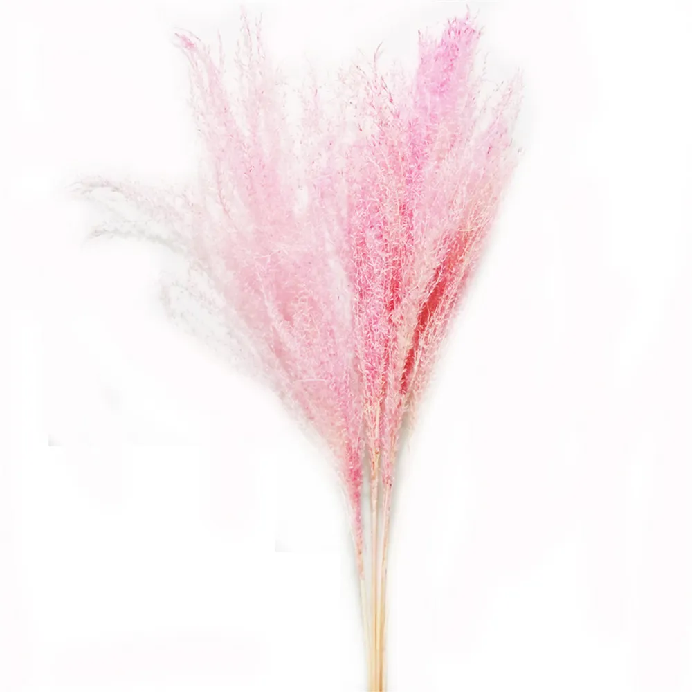 Розовый белый цвет натуральный пампас трава декор цветок красивые свадебные цветы пучок рождественские дома декор фрагмитов высокий 17-22 201222