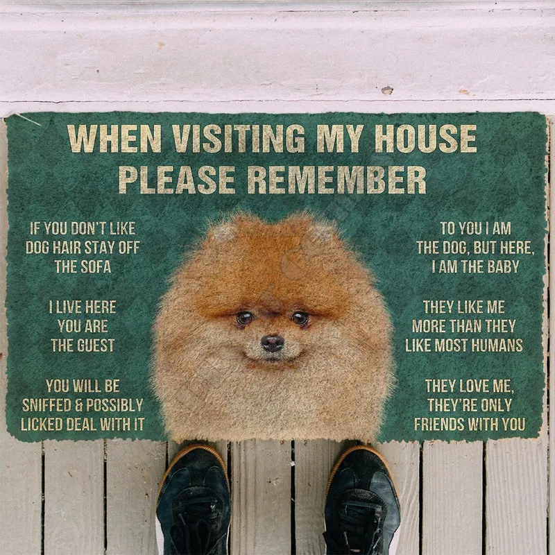 3D Pomeranian Dogs 하우스 규칙을 기억하십시오 Doormat Non Slip 도어 바닥 매트 장식 현관 220301