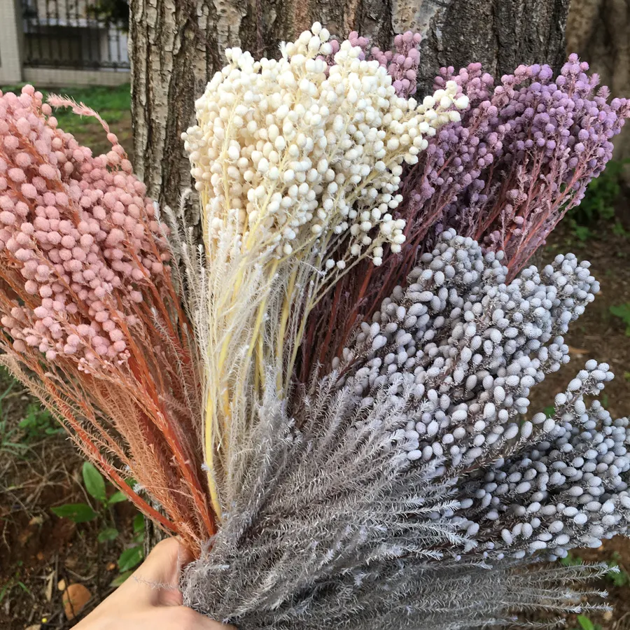 Konservierte Blumen, 80 g, 2538 cm, echte Stacheln, DIY, naturfrische Eternelle-Blumen, Hochzeit, Zuhause, Eternelle-Rose, Geschenk, Dekoration, C0932354337