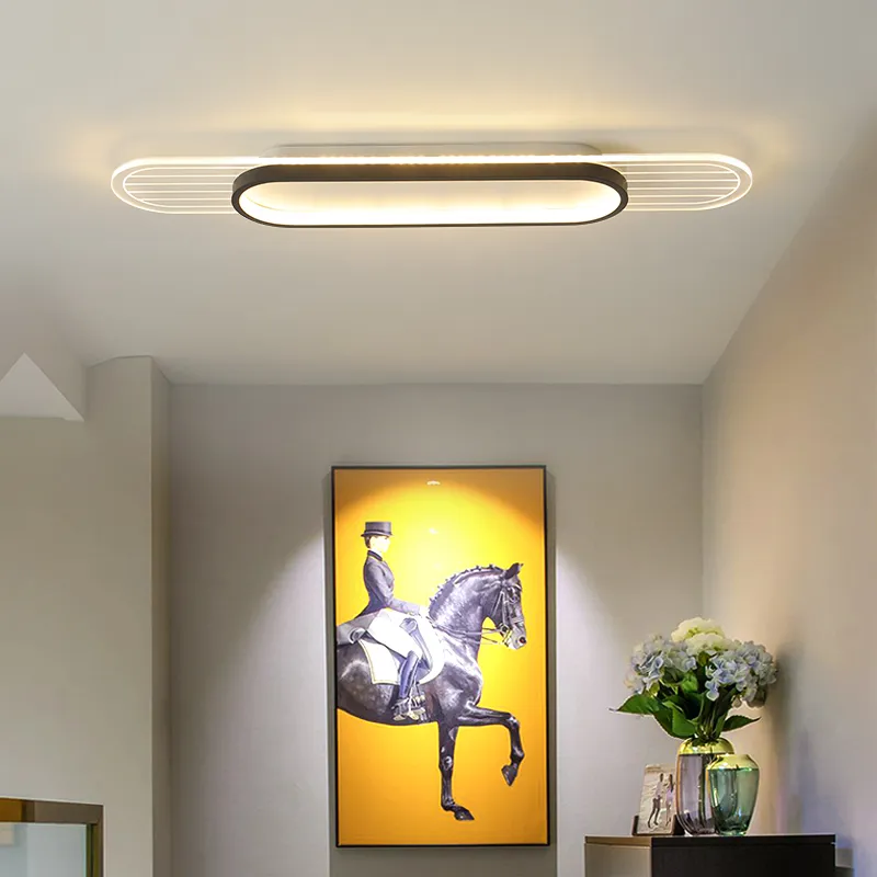 Acryl moderne LED-plafondverlichting voor woonkamer slaapkamer keuken garderobe gang entree balkon thuis plafondlamp armatuur2654