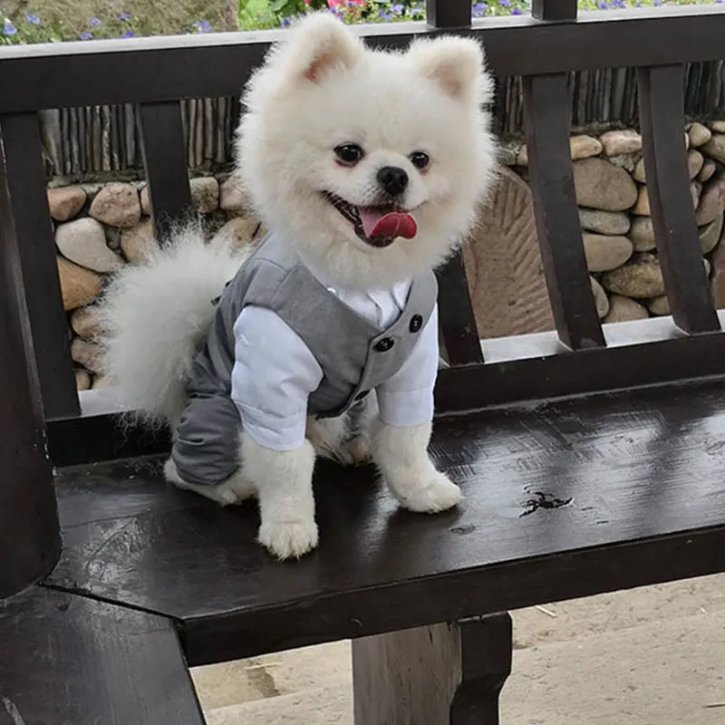 Pet Wedding Clothes Formal Dog Coat Jacket Party Costume High Quality For Small s Clothing Ropa Perro Y200917