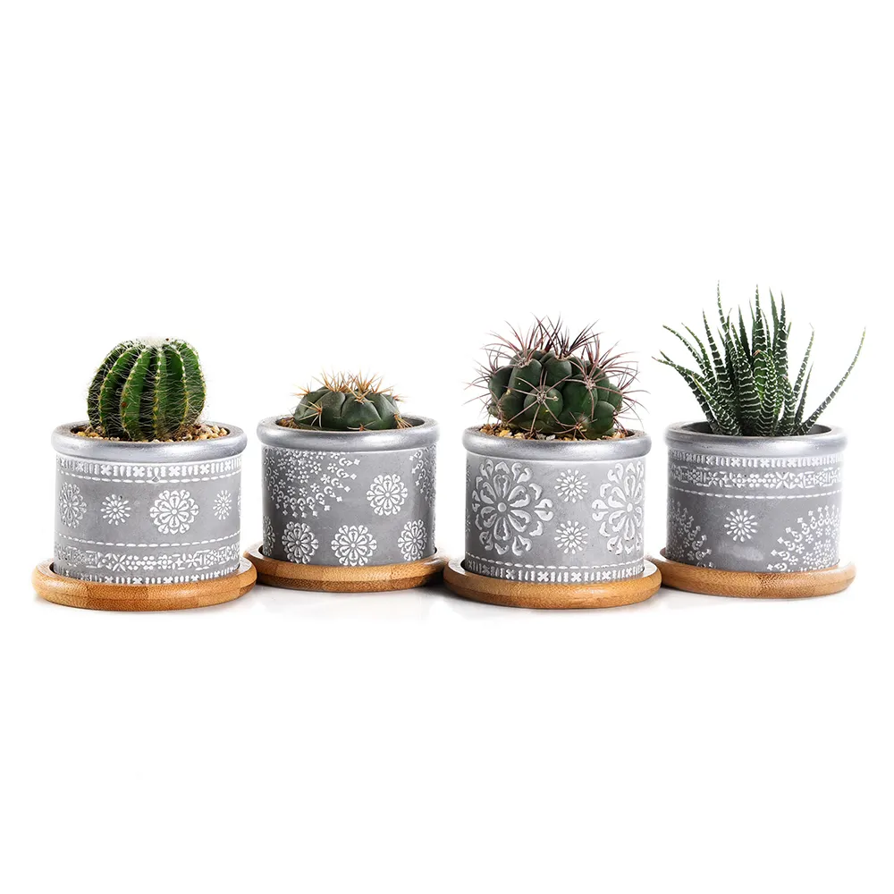 4In Set 2 95 pouces Ciment Succulent Planteur Pots Cactus Plante Pot Intérieur Petit Béton Herbe Fenêtre Boîte Conteneur Avec Bambou Y200722653