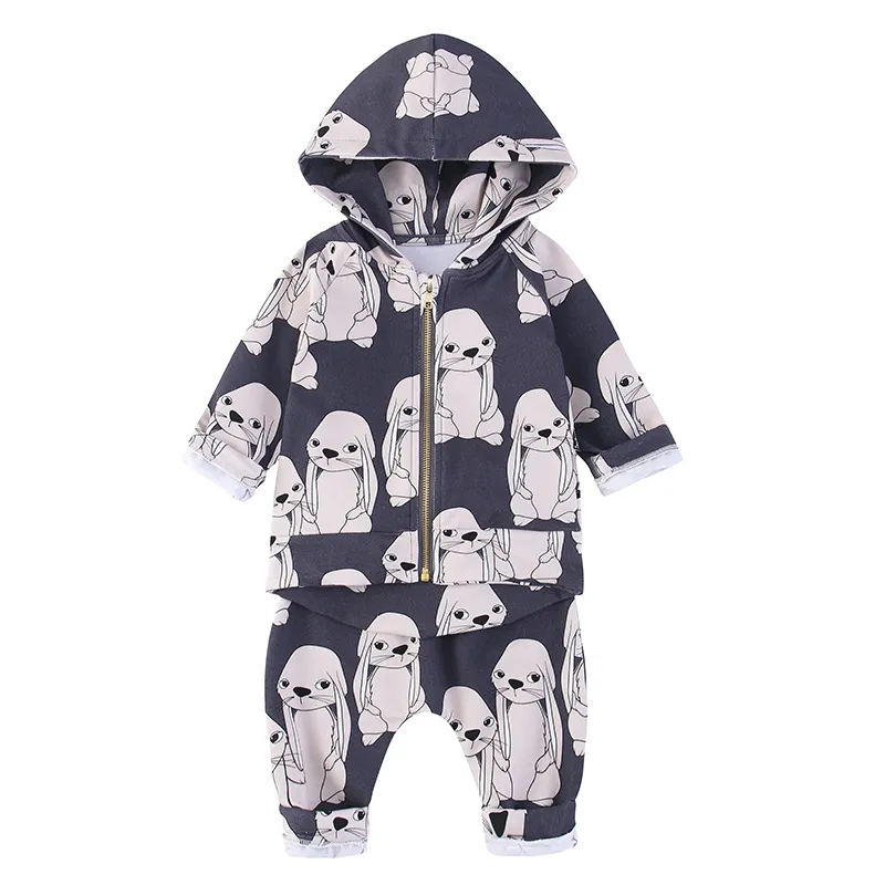 TinyPeople Rex Kaninchen Baby Jungen Kleidung Herbst Anzüge Modische Baby Mädchen Mit Kapuze Sport Kleidung Sets Kind Winter Säugling 2-stück LJ201221