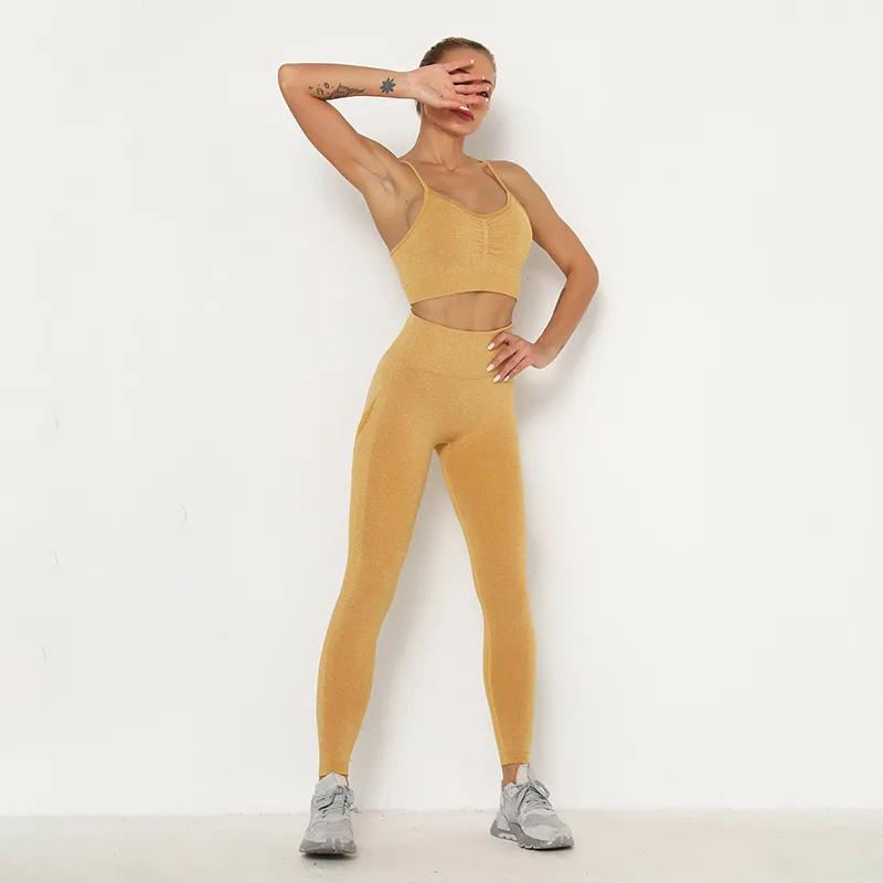 Kadın Dikişsiz Yoga Setleri 2 Parça Set Yüksek Bel Simü Tayt Yastıklı Spor Sütun Fitness Giyim Egzersiz Tracksuit288K