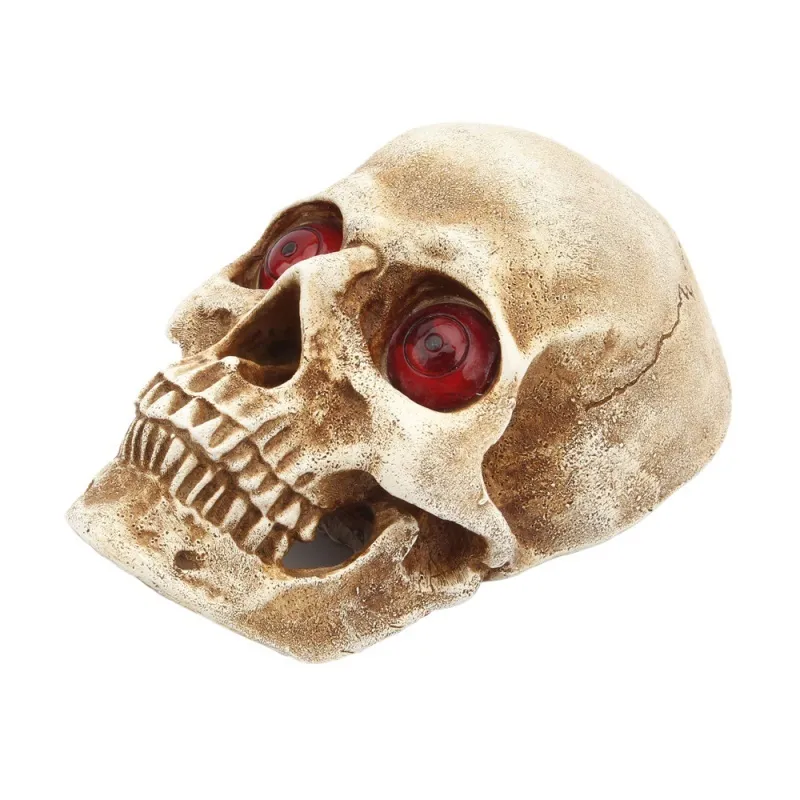 Halloween Skull LED Night Light Skeleton Wall Headlight Battery Power Holiday Lamp Gift Home Bar Retro Lighting Decor Y201006