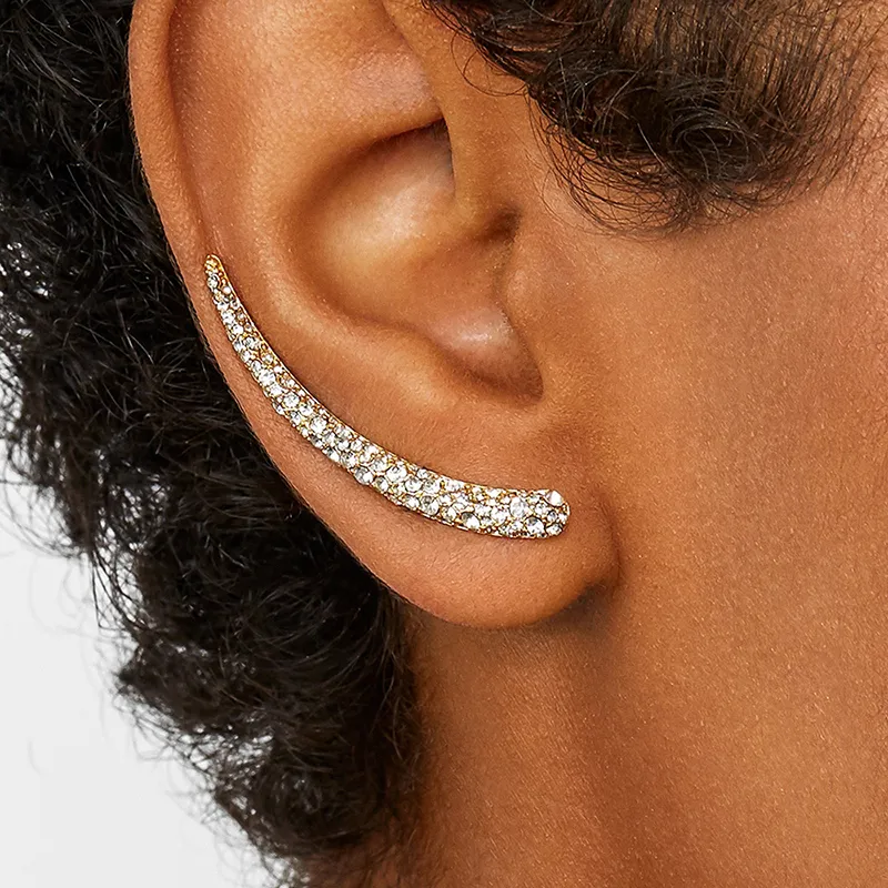 Vintage Rhinestone Crystal Flower climber Earrings For Women Bohemia Elegant Long Stud Earrings statement Jewelry Ear Crawlers3582278