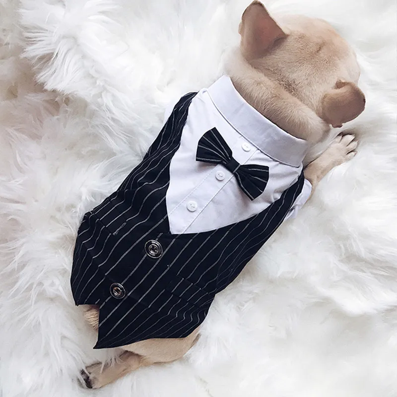 Hundbröllopskläder kostym Tuxedo för S Costume Bow Tie Pets Clothing S Pug French Bulldog Cat Pet Supplies LJ200923