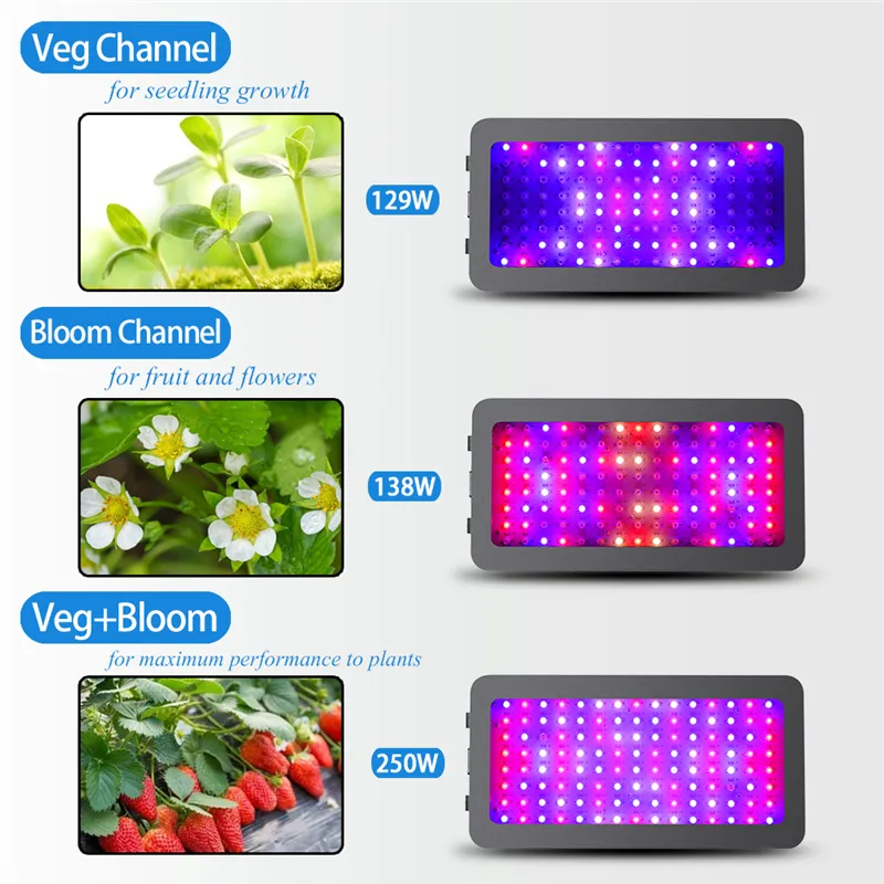 1200W dubbla switch Full Spectrum LED Grow Lamp för inomhusblommor Plantor Veg Tent Plant Grow Light 85-265V242Q