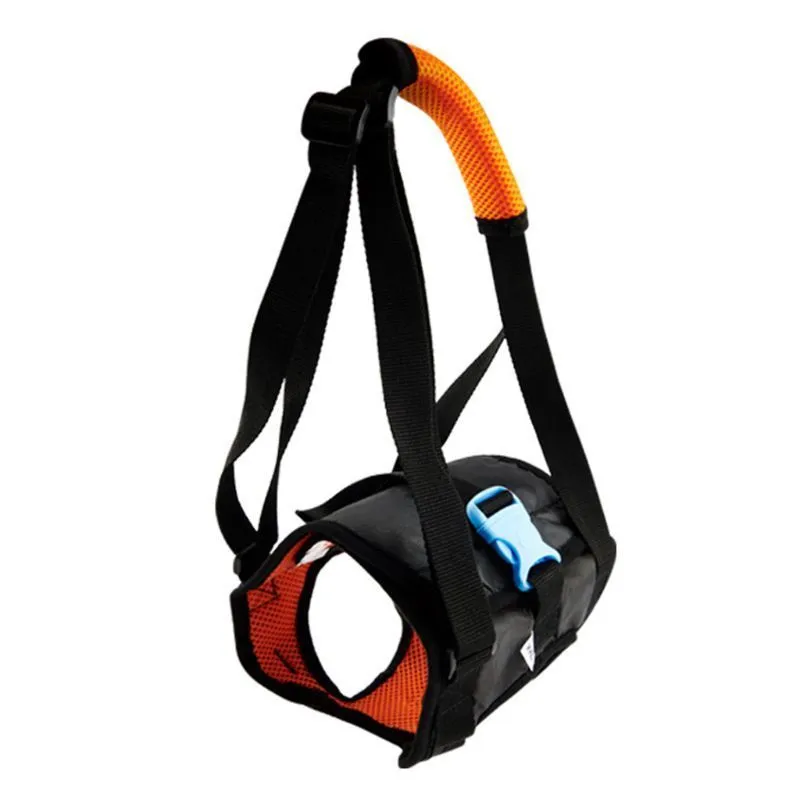 Hundhjälp Assist Tool Justerbar Lift Harness för Back Ben Pet Support Sling Leash C63B 201126