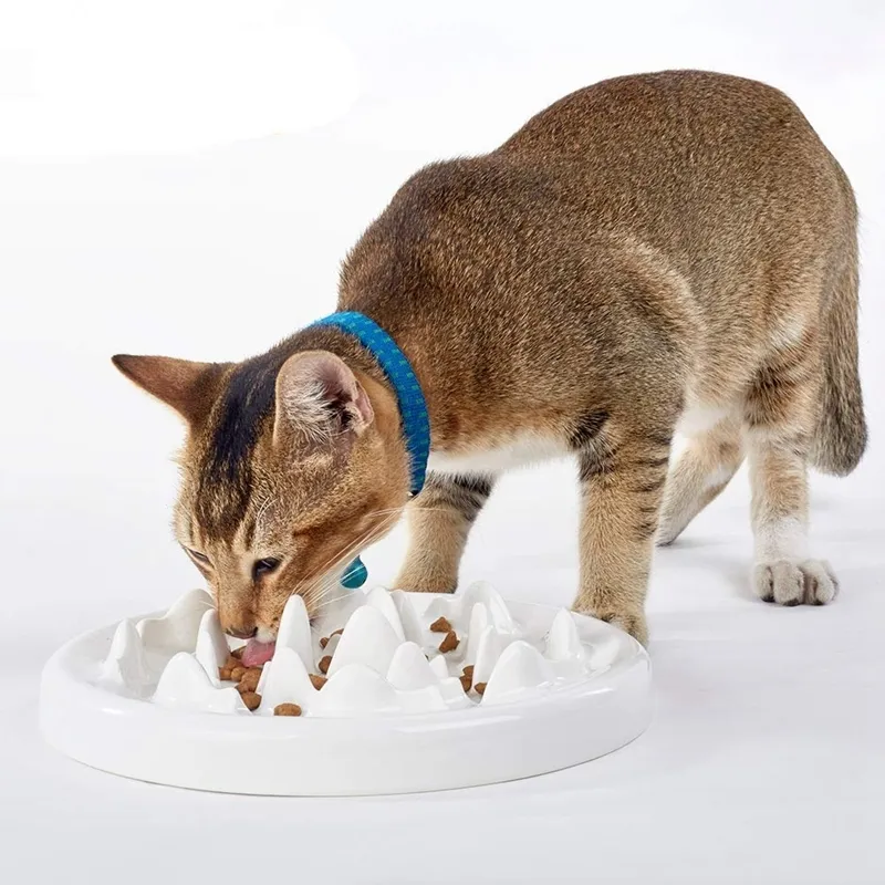 Tigela de alimentação lenta Cerâmica divertida interativa parada de gato, prevenindo anti -engolindo dieta saudável e saudável PET Y200917