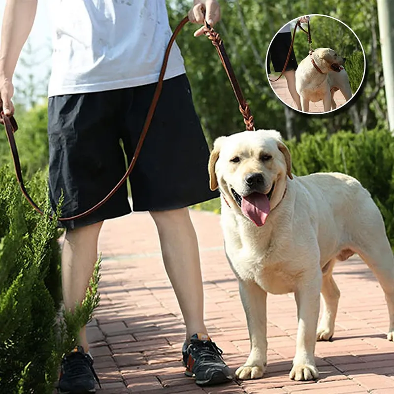 Benepaw Laisse de chien en cuir véritable 2 poignées de circulation rembourrées pour un contrôle supplémentaire Laisse d'animal de compagnie tressée pour chiens de taille moyenne LJ201111
