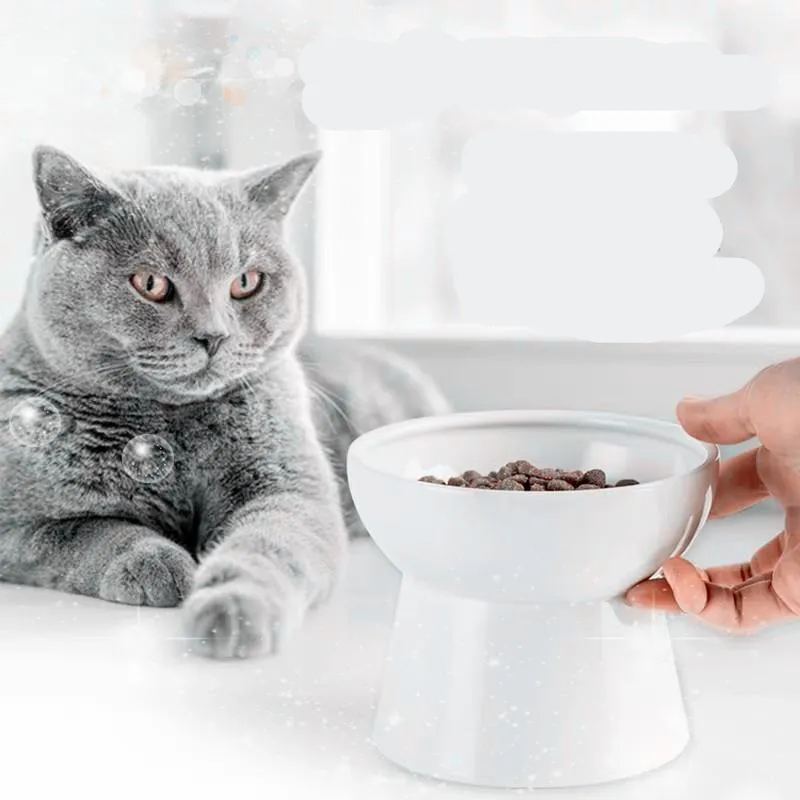 Pet gato cerâmica tigela clássica cervical saúde protetora alta base água alimentador de alimentos filhote de cachorro gatinho alimentação y2009178098724