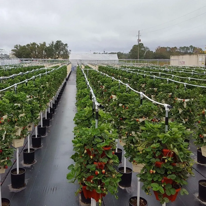 Pot de fleur tridimensionnel PP bassin de fraises culture superposée multicouche plantation de fruits de melon de légumes Y200723233s