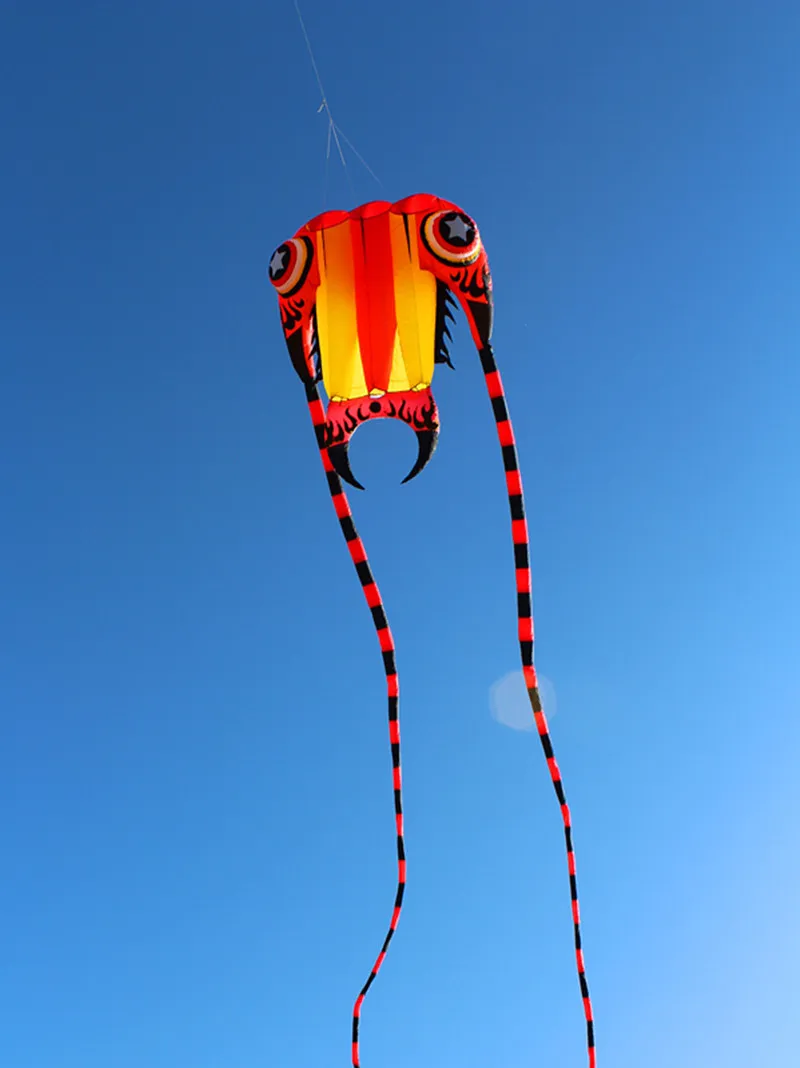 Большие мягкие виды трилобитовых воздушных змеев для взрослых RipStop Nylon Reel Jellyfise Octopus Eagle Kite Factory 10186282250