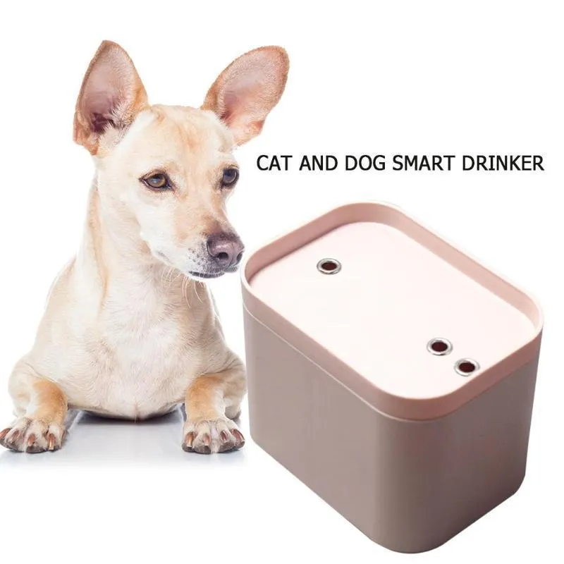 Pet Smart Water Dispenser Cat Dogs Fonte automática com o cabo USB Bowl Bowl Radar Induction E5M1 Y200917