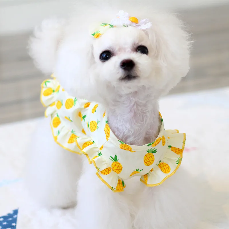 Ananasowy pies Dres Summer Pet Clote for Clothing Puppy Dree Dree Shirt Spódnica Hawajska LJ200923