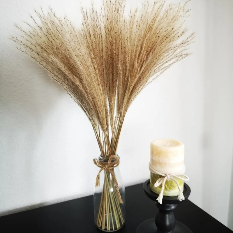 Plume de couleur brute, 30 tiges, décoration de mariage, bouquet de fleurs, petite herbe de la pampa, décoration de maison, véritable roseau, plante naturelle, ornements 297l