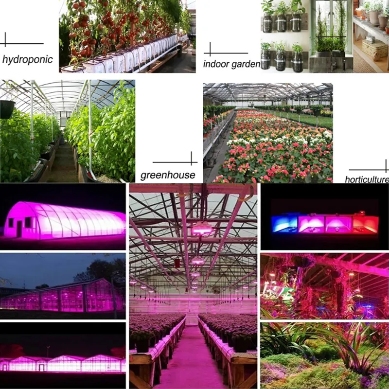 1200W dubbla switch Full Spectrum LED Grow Lamp för inomhusblommor Plantor Veg Tent Plant Grow Light 85-265V242Q