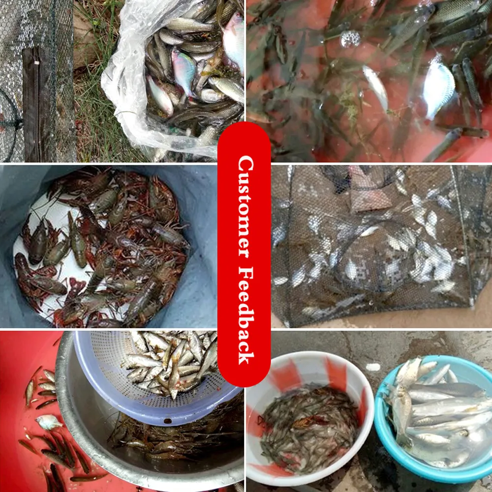 Red de pesca automática de 428 agujeros, redes de trampa plegables de nailon para peces, camarones, pececillos, cangrejo, malla fundida, herramienta de red de pesca 255466962