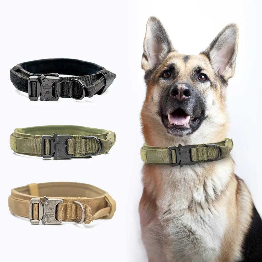 タクティカル犬の襟調節可能な金属バックル犬の襟ドイツの犬の襟ドイツの羊飼い犬LJ201109