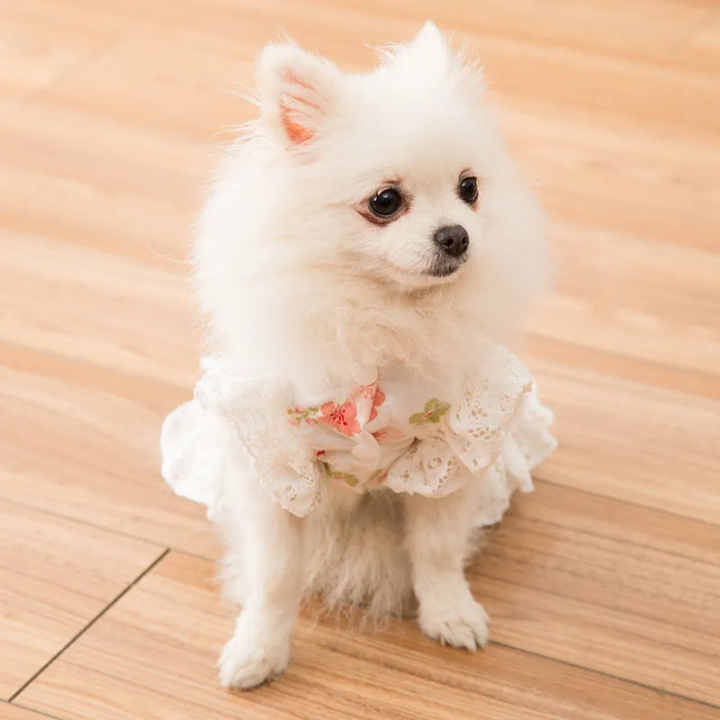 Robe princesse en dentelle à fleurs, vêtements de printemps et d'été pour petite fête, jupe pour chien, chiot, Costume pour animaux de compagnie, tenues LJ200923250a