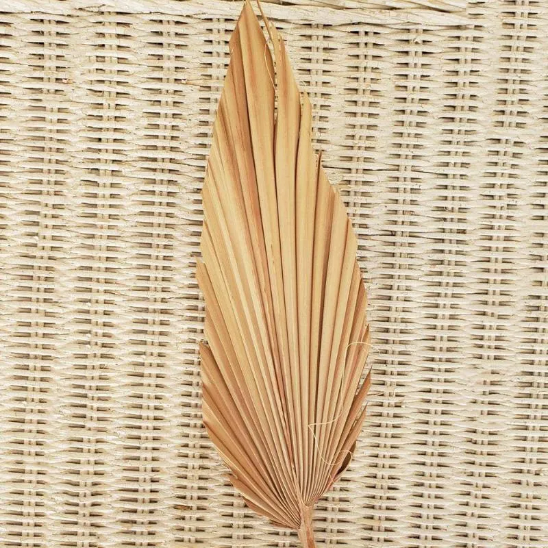 Palm Fan Leaf Getrocknete Blume Natürliche Getrocknete Palm Leaf Fan Pflanze DIY Party Kunst Wand Hängen Hochzeit Decor179u