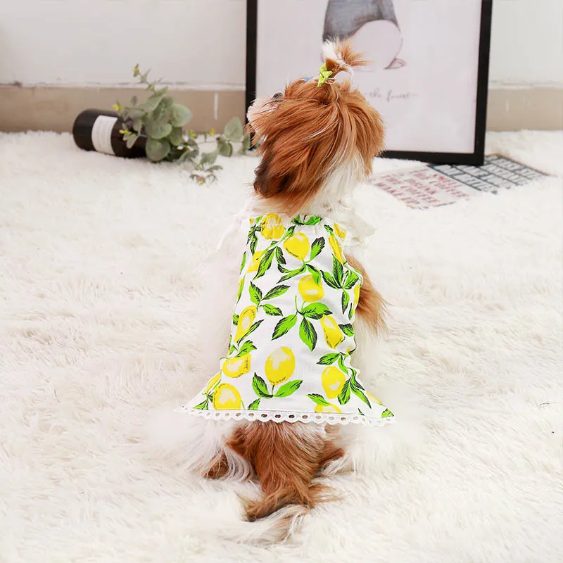 Sling Dog Dress Print Clothes For Small Medium S es Princess Pet Puppy Cat Summer S kjol York LJ200923