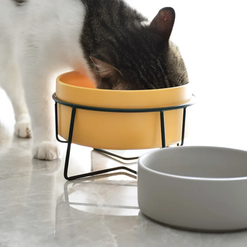 귀여운 세라믹 고양이 그릇 유니버설 애완 동물을 먹는다