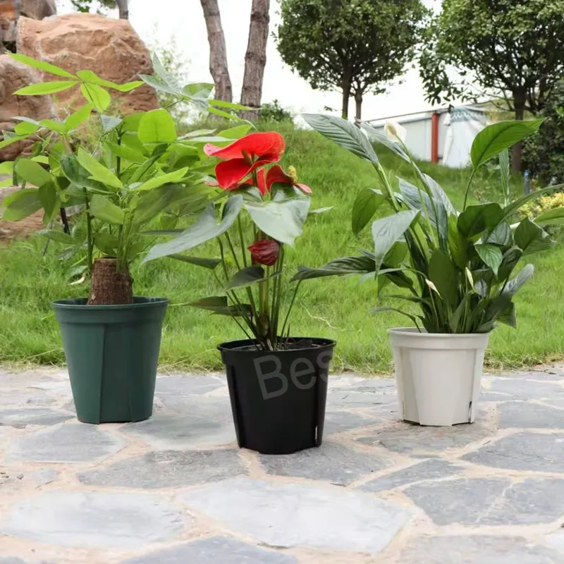 Pots de fleurs rondes en plastique Succulentes Pot de fleurs Épaissir Cultiver Fond Respirant Pot de Fleurs Maison Jardin Accessoires BH6149 TYJ