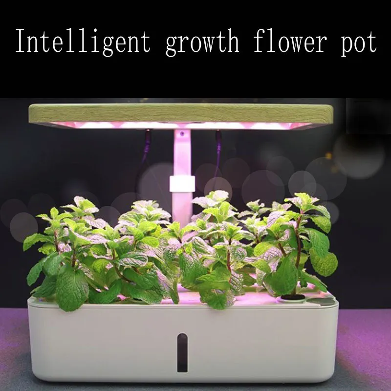 지능형 녀석 재배 Aerogarden 꽃 냄비 수경화 된 재배자 실내 채소 식물 냄비 꽃 보육원 채우기 라이트 Y202412