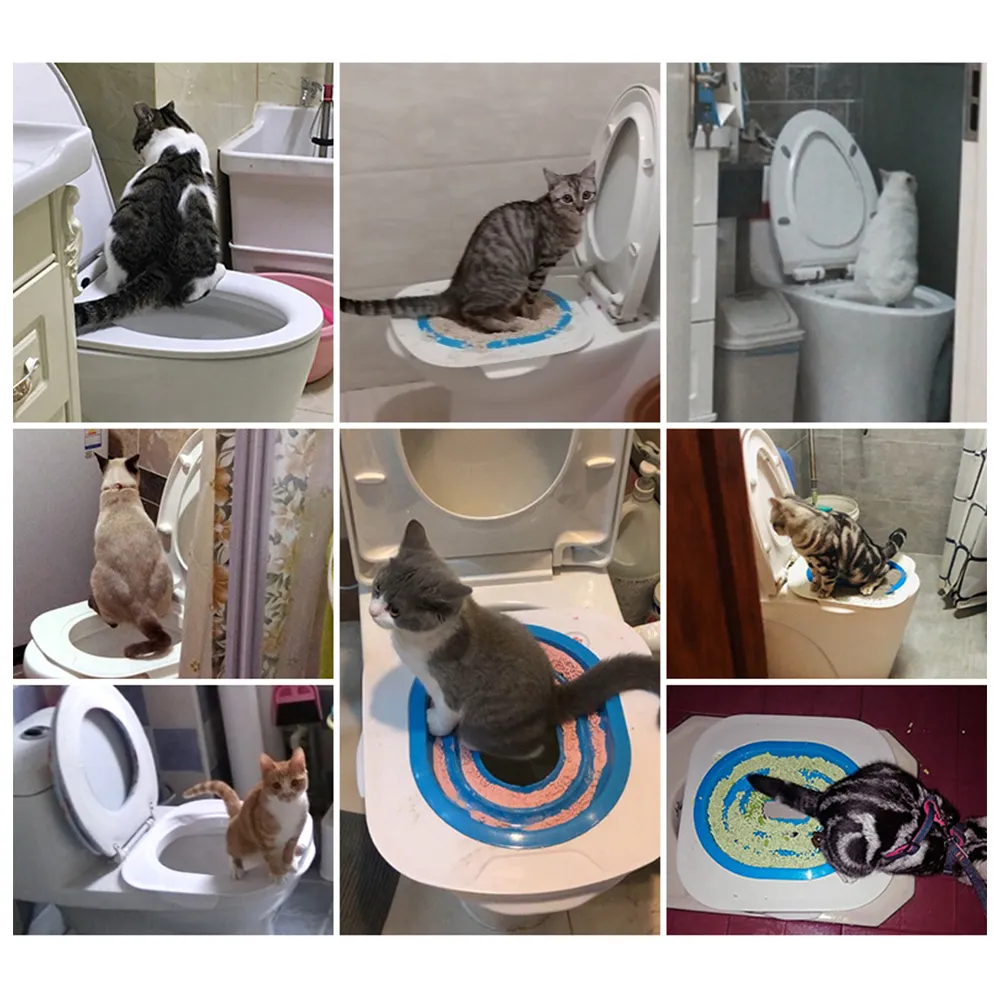 Kedi Tuvalet Eğitim Kiti Pet Poop Eğitim Koltuk Yardım Kediler Oturan Kumbesi Kutu Tepsisi Profesyonel Eğitmen Kedi Kitten İnsan Tuvalet 20110218c
