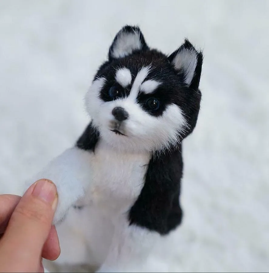 Realistici giocattoli di peluche realistici cuccioli di cane giocattolo di simulazione di cani Husky 2754685