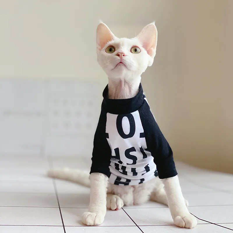 Hairless Cat Clothing Sphinx Clothes For Pet Cartoon Winter Shirt 201111