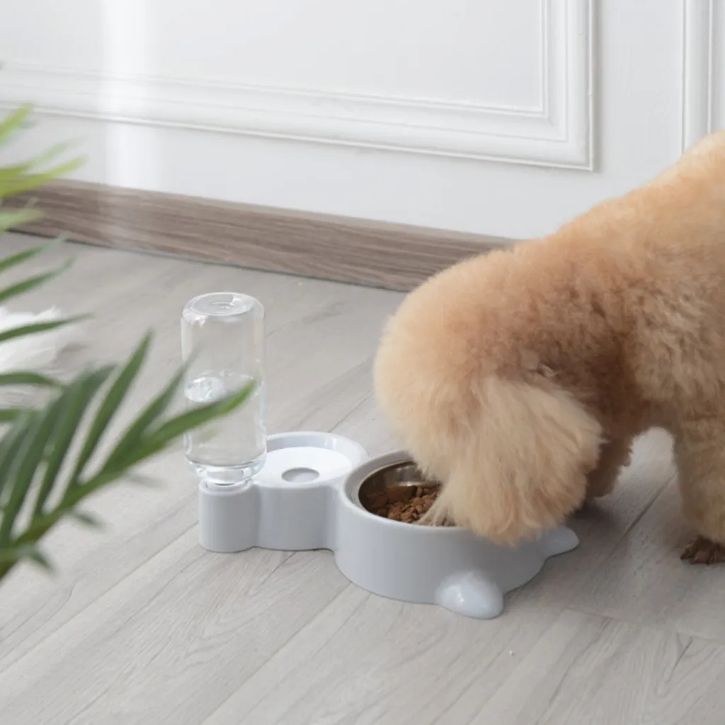 Bubble Pet Bowls Stal nierdzewna automatyczna podajnik Woda Woda Pojemnik na żywność dla kota psa Kott