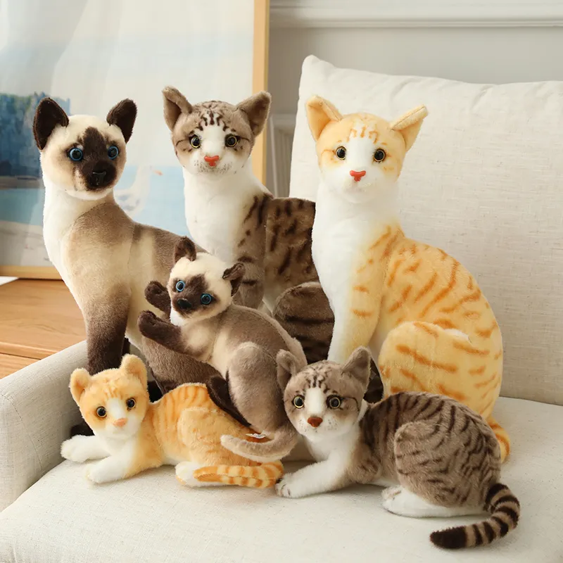 Levensechte Siamese Kat knuffels Knuffels Simulatie Amerikaanse Korthaar Kat Plushie poppen voor Kinderen Kids Huisdier speelgoed Decor 220217