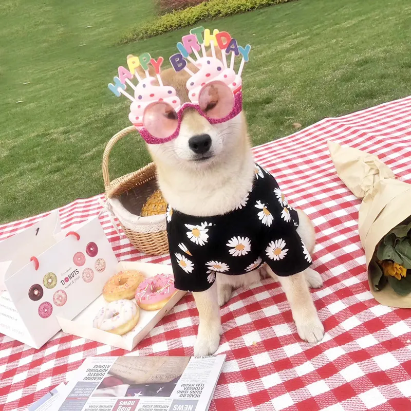夏の犬の服スプリング漫画犬用TshirtベストヨークシャースモールミディアムブルドッグアウトドアコスチュームY200917