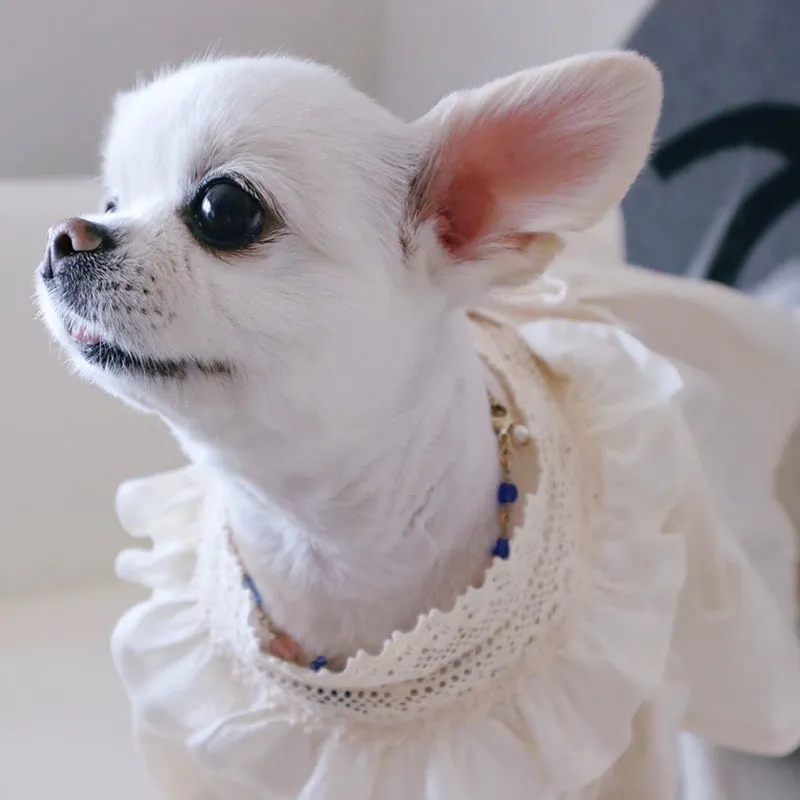 Lyxig hundklänning husdjur bröllopsklänningar chihuahau spets valpkläder för små hundar handgjorda fest y200917