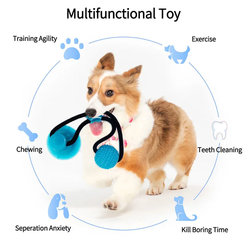 Flexible Pet Molar Bite Toy Suction Cup Dog Toy With Ball Teeth Cleaning Elastic Rubber Chew Ball Dog Interactive Toys Ropes LJ201125