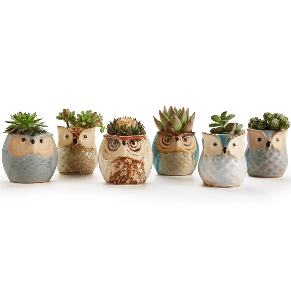 lot keramische uil bloempotten plantenbakken vloeien glazuur base seriële set sappige cactus plantencontainer plantenster bonsai potten y20078597385