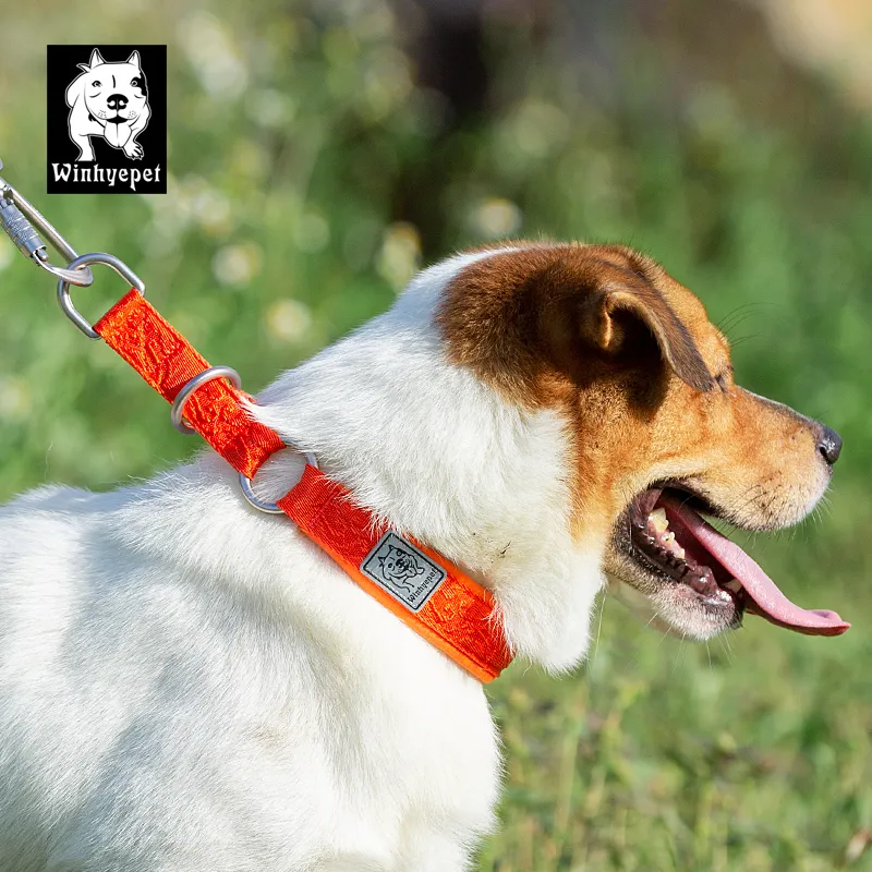 Truelove Dog Training Collar Effective Safe Training Dogs Choker Collars Slip Collars for Dogs Medium Large Puppy Dog Supplies LJ201111