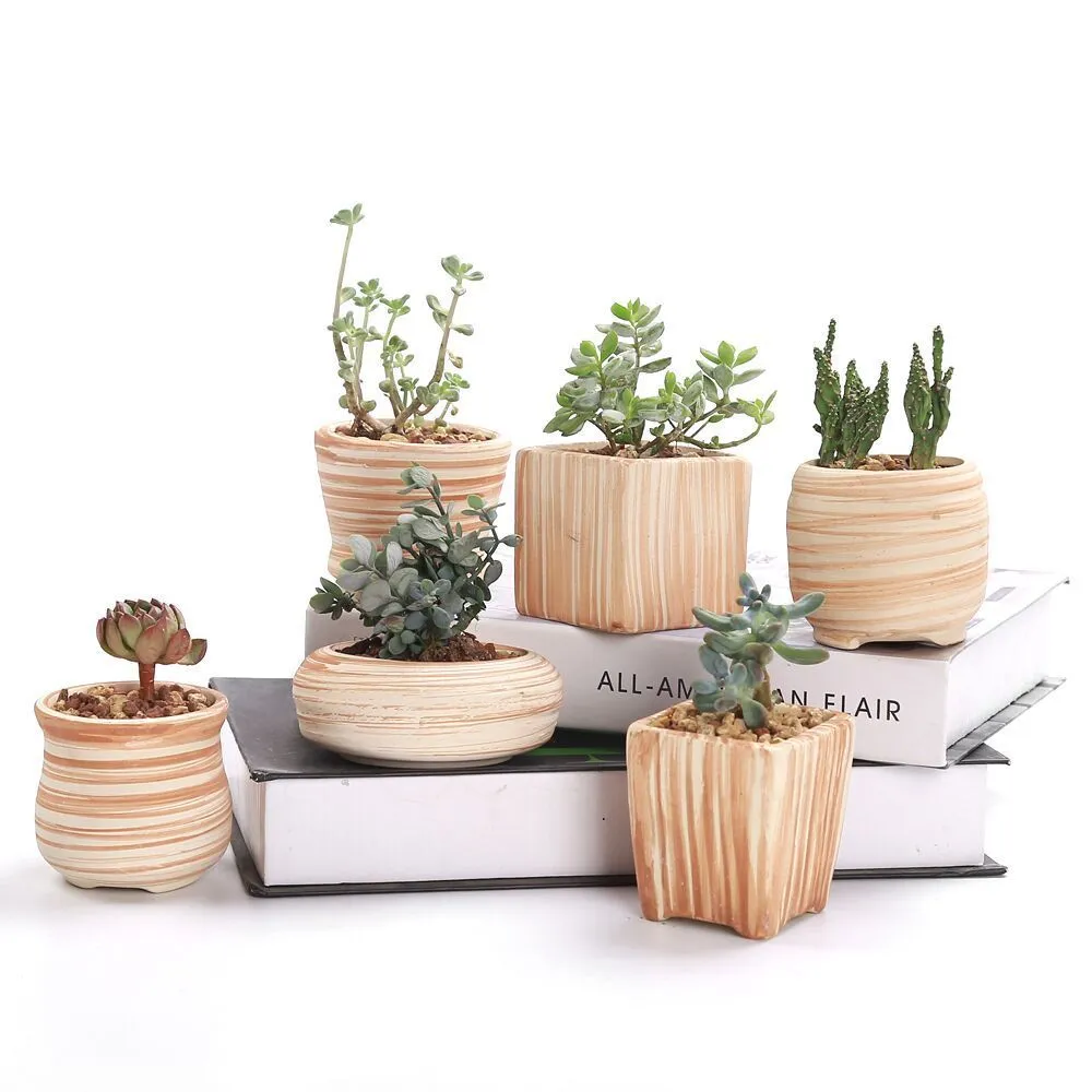 Sune 6 i uppsättning 3 tum keramiskt trämönster Succulent Plant Pot Cactus Plant Pot Flower Pot Container Planter Present Idé Y2007231734236