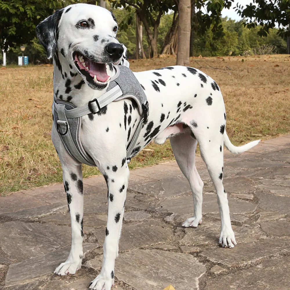 Reflektierende Nylon-Haustier-Hundegeschirr-Weste, verstellbar, atmungsaktiv, Netz-Hundesicherheits-Gehgeschirr, Weste, Zubehör für kleine, mittelgroße Hunde 201126