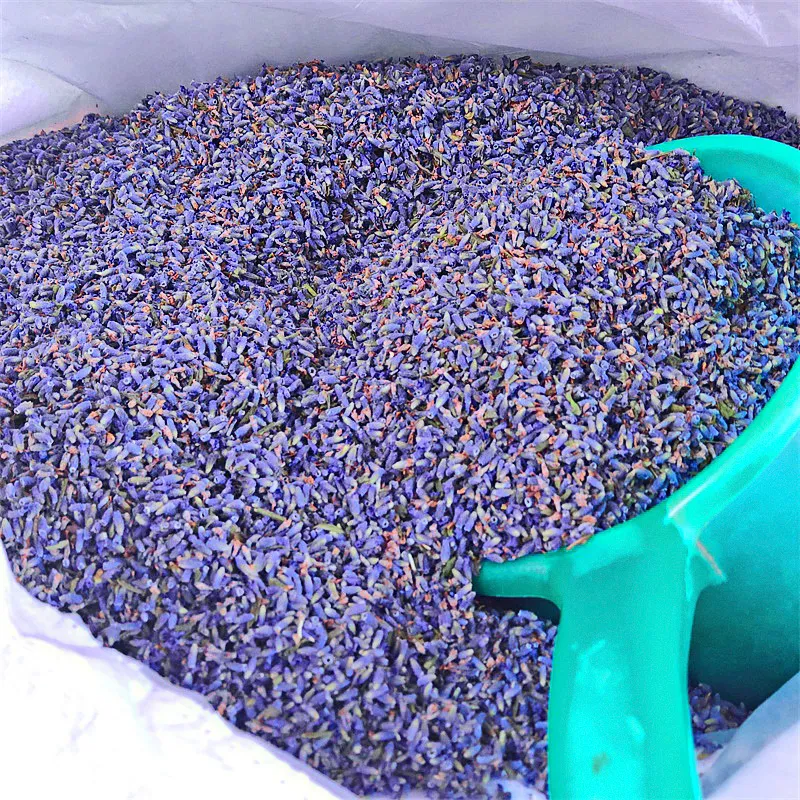 Lavender Zapach Saszetki Poduszki Kwiat Tea Products Car Wisiorek Dostawy Zabawki Napełnianie Aromaterapia Suszone Kwiaty Domowe Dekoracja 1 kg CX220214