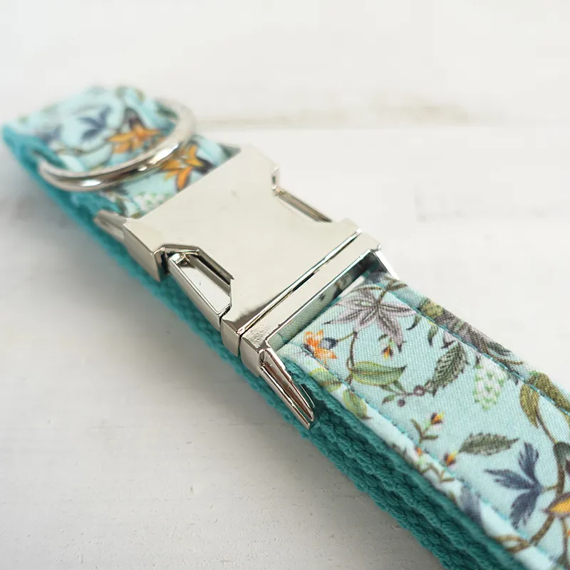 Dog Collar Turquoise (16)